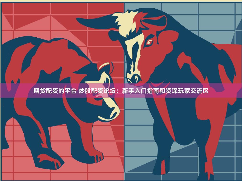 期货配资的平台 炒股配资论坛：新手入门指南和资深玩家交流区