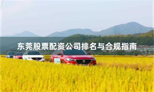 东莞股票配资公司排名与合规指南