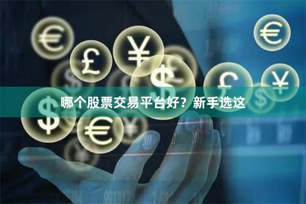 哪个股票交易平台好？新手选这
